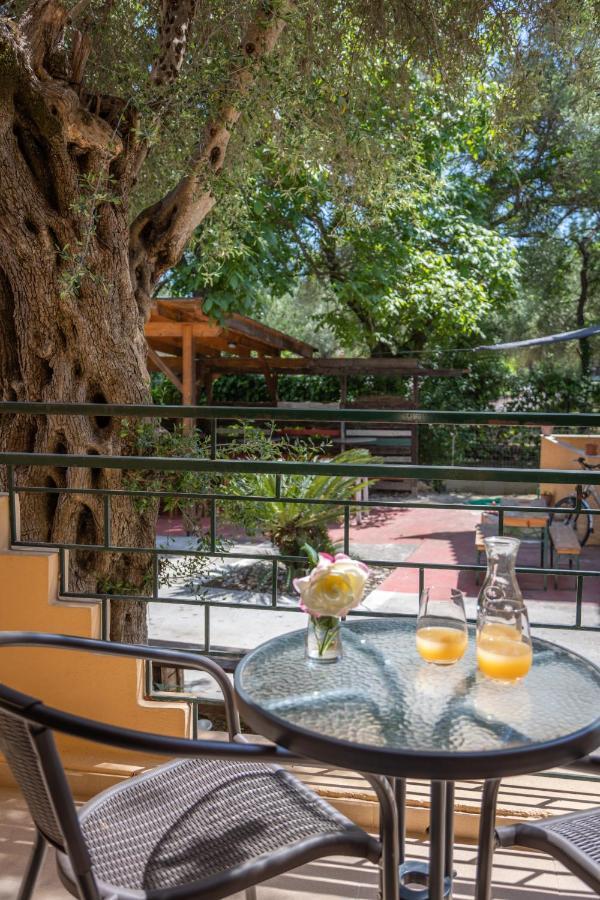 Wilde Rose Hotel 다시아 외부 사진
